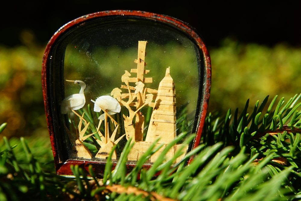 Photograph by сергей мишаков