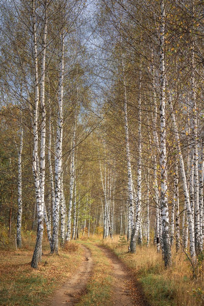 Photograph by Людмила Завьялова