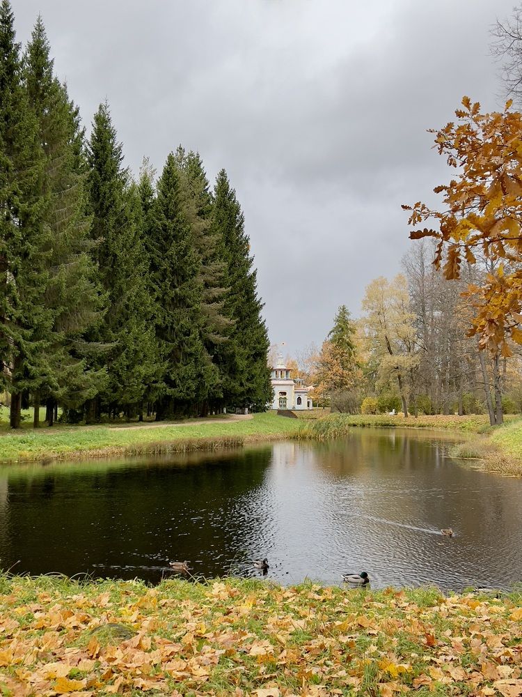 Photograph by Михаил Шабалин