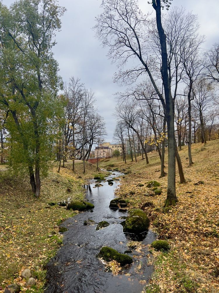 Photograph by Михаил Шабалин