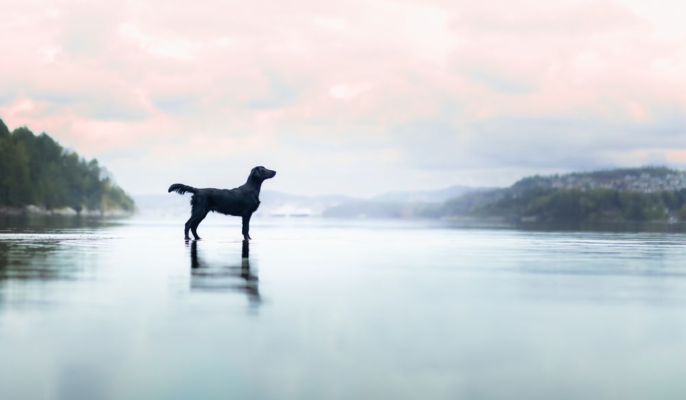 Photograph by Tamara Sundstrøm