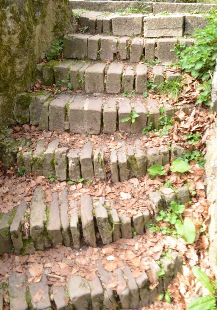 Photograph by Валерий Калинов