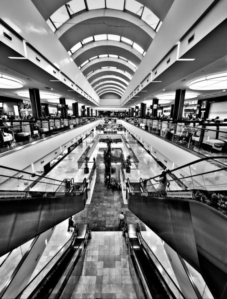 Photograph by Avi Behar