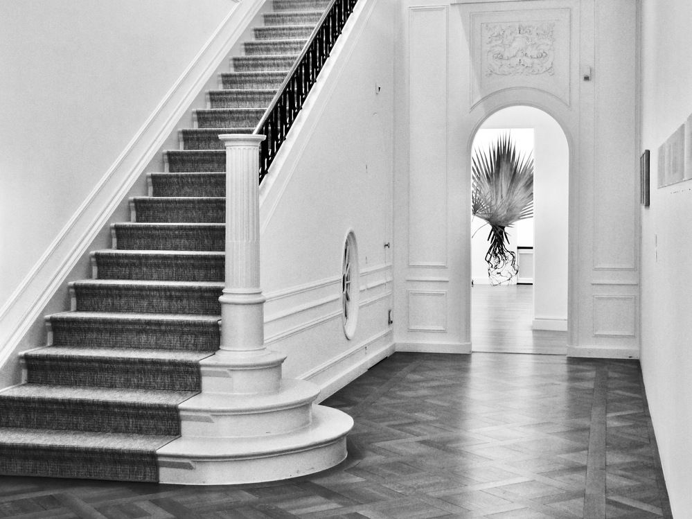 Photograph by Dario Meroni