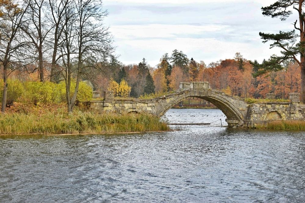 Photograph by Антонина Шабышева