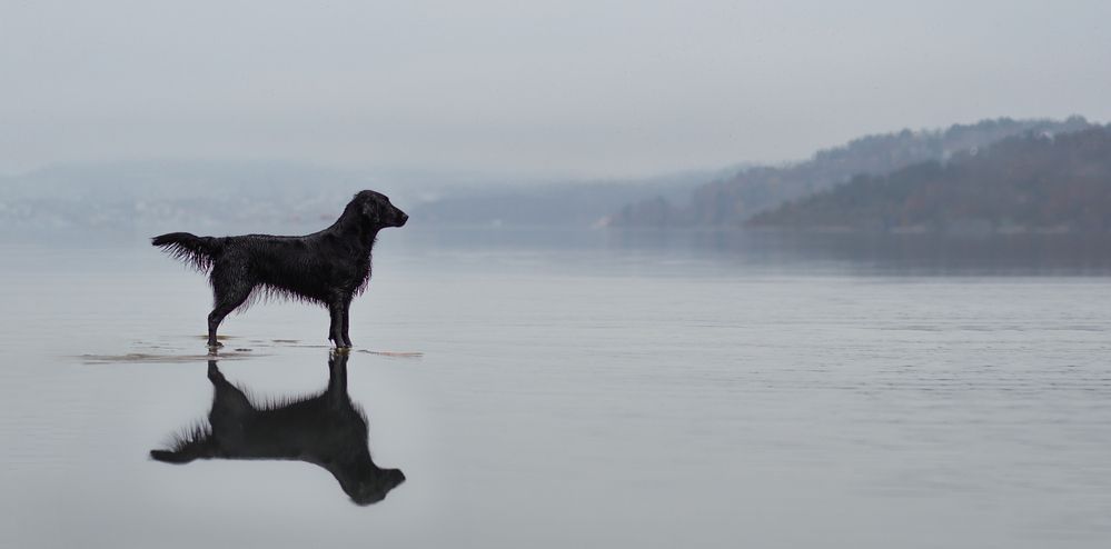 Photograph by Tamara Sundstrøm