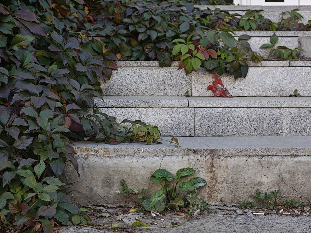 Photograph by Юлия Яремко