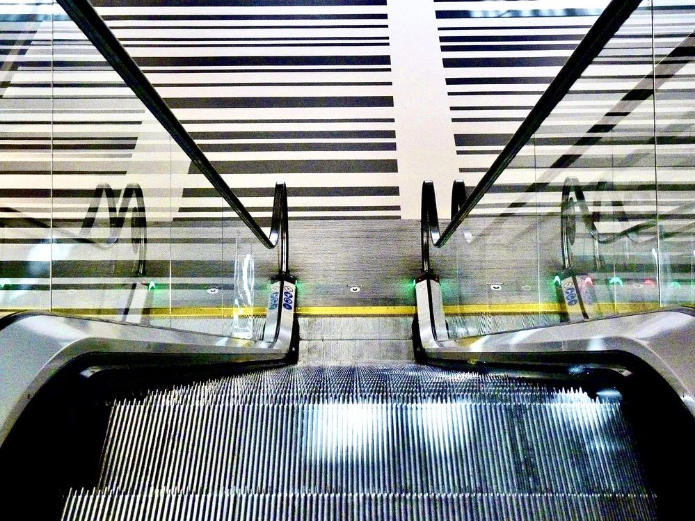 Photograph by Dario Meroni