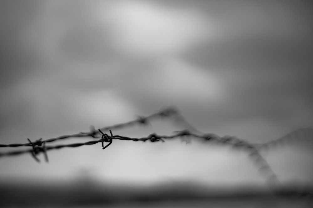 Фотография автора Daniel Chobanov