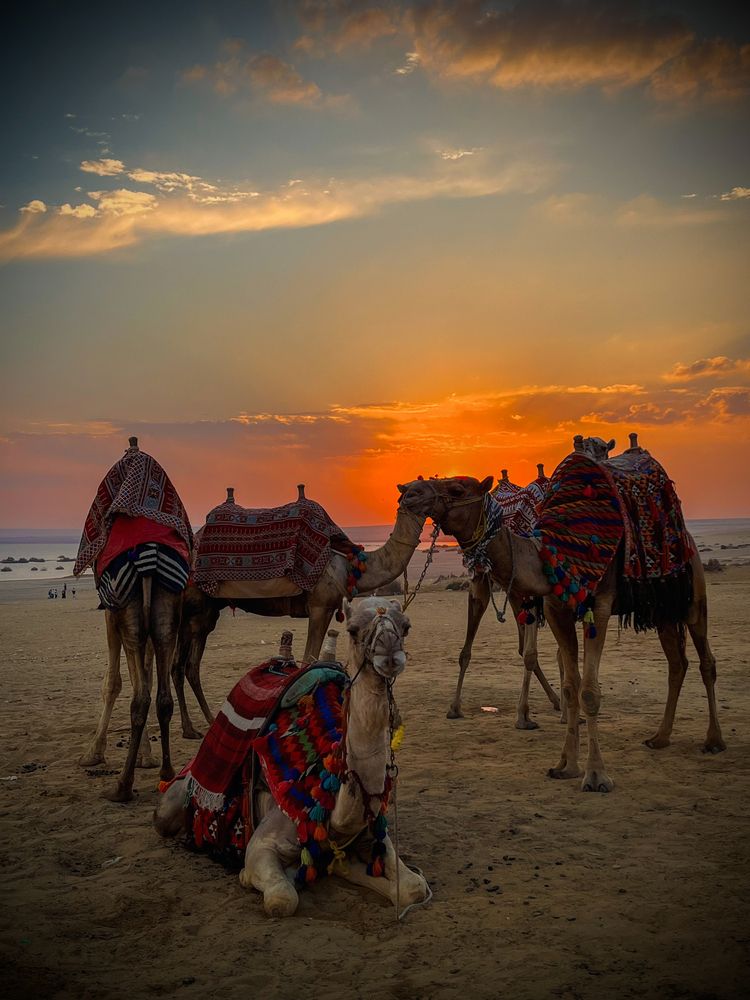Photograph by Nofair Nasr