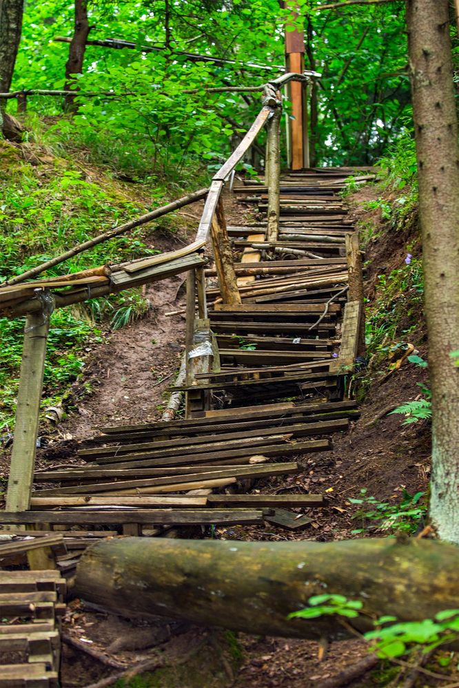 Photograph by Дария Ризниченко