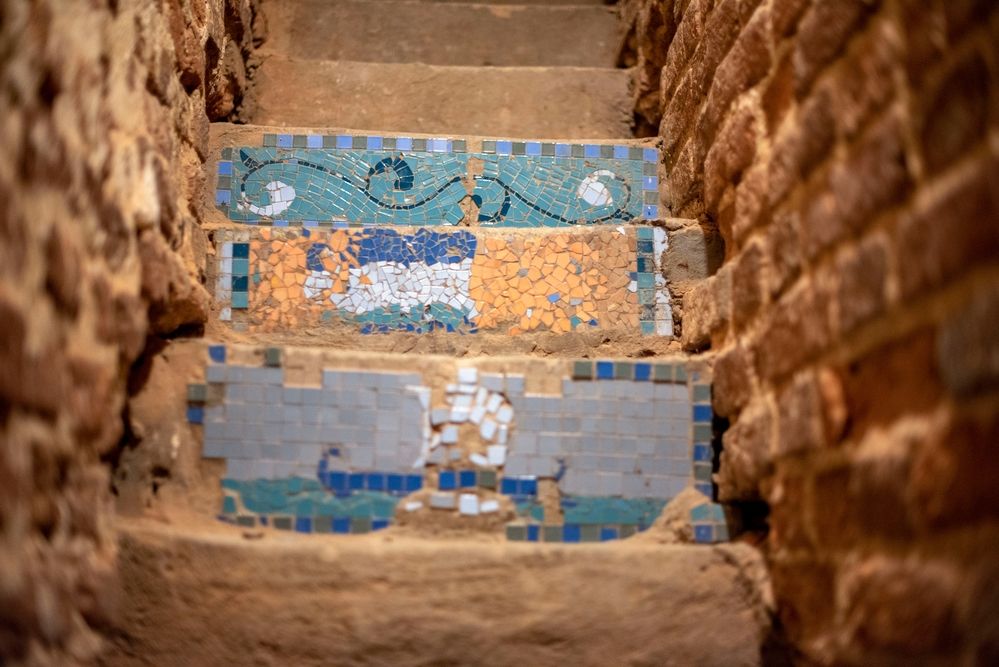 Photograph by Дария Ризниченко