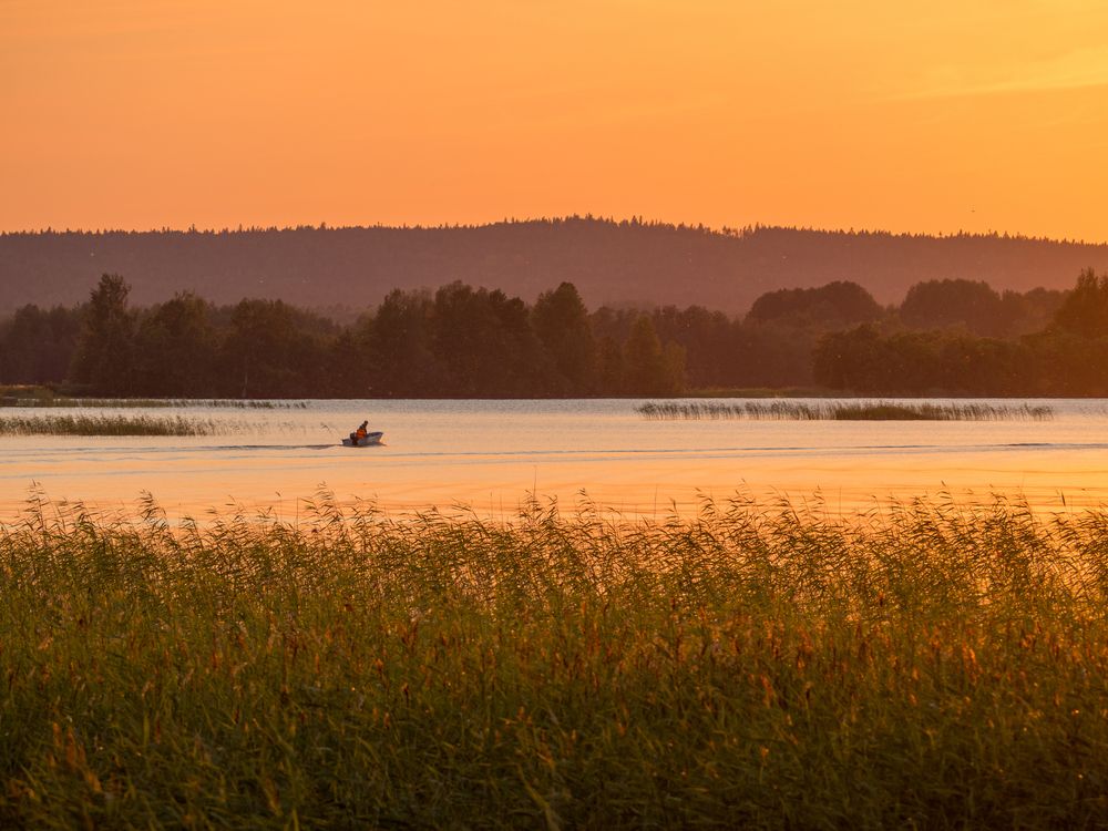 Photograph by Шейко Анна