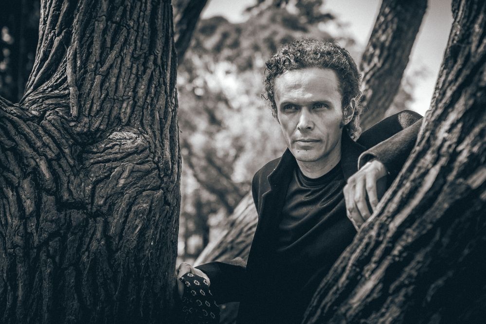 Я такое дерево