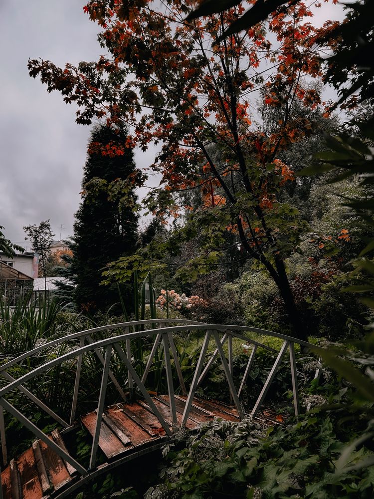 Photograph by Константин Шипицын