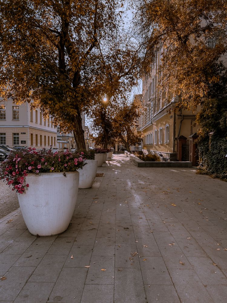 Photograph by Константин Шипицын