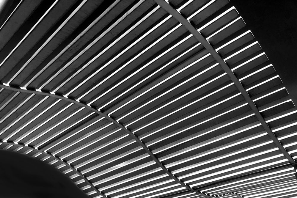 Photograph by Cергей Абакумов