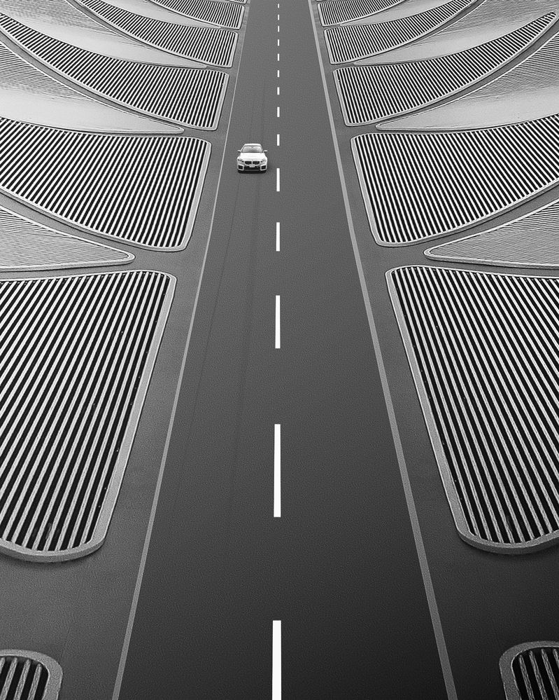 Photograph by Shahram Hafezi