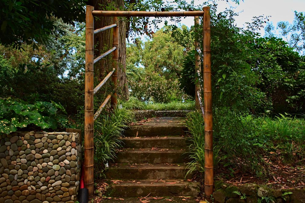 Photograph by Евгений Козлов