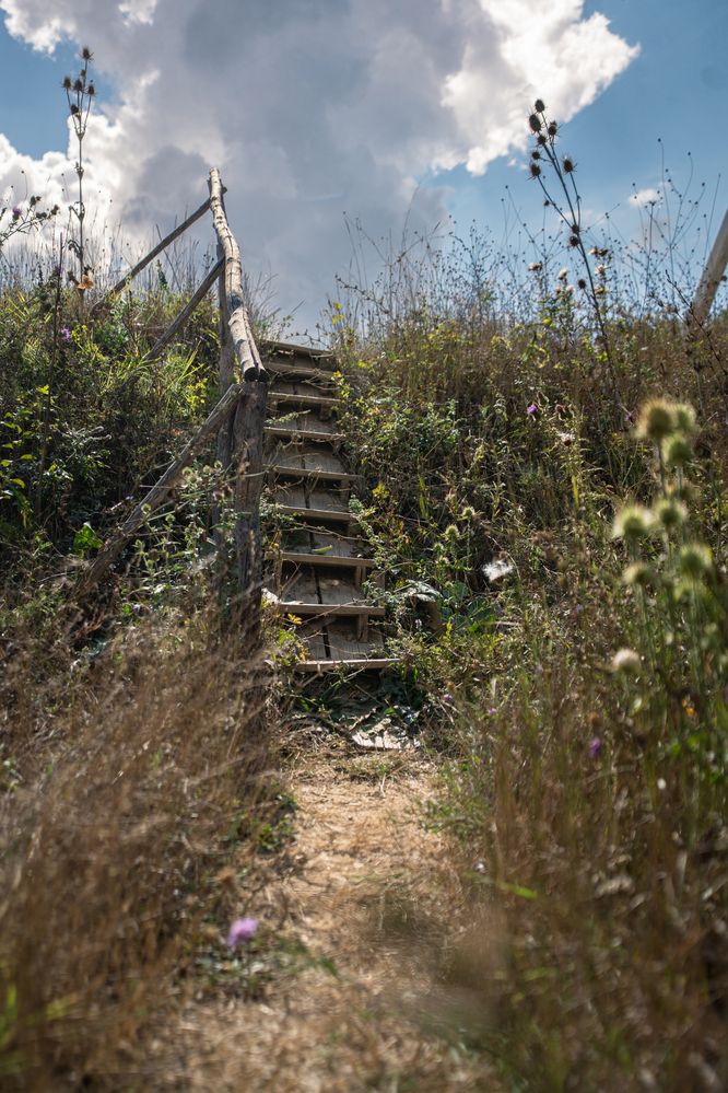 Photograph by Артём Гуцалюк