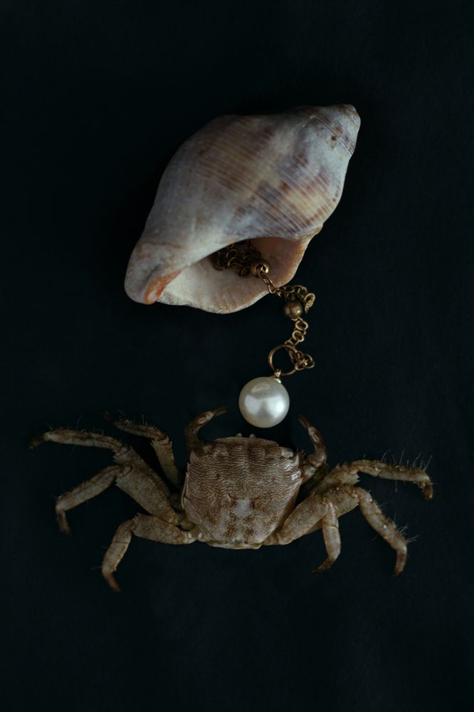 Photograph by Анастасия Карташова