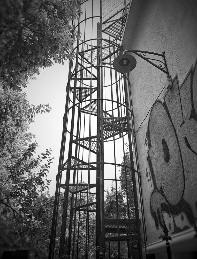 Photograph by Ольга Мажарук