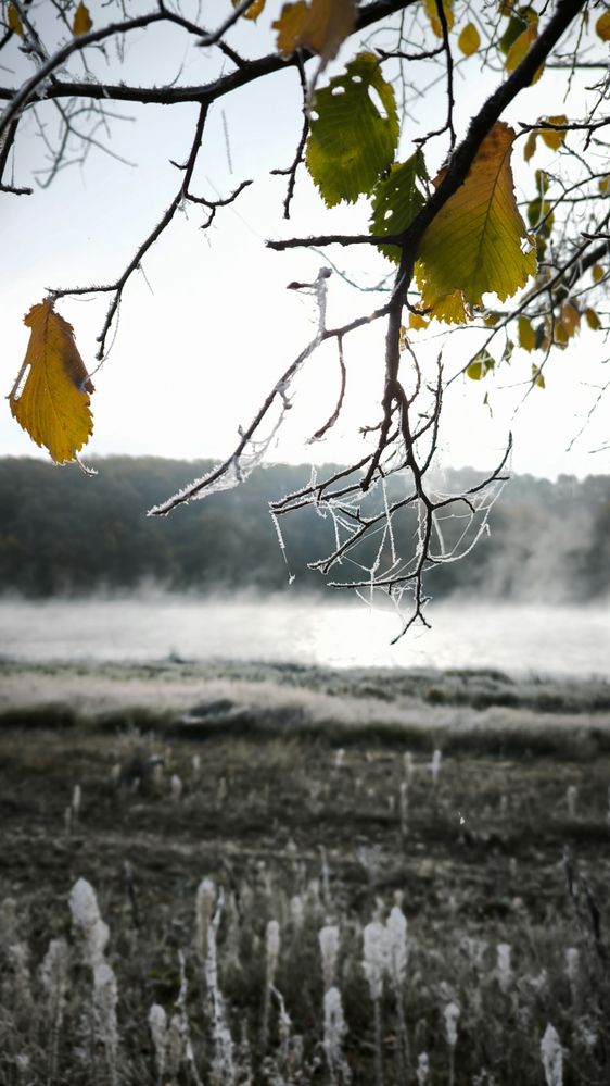 Первая морозная дымка.
