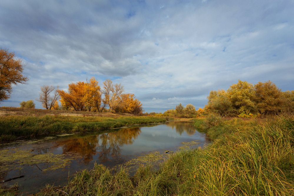 Photograph by Олег Дорошенко