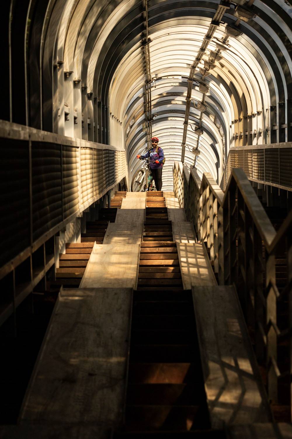 Воздушная аорта .