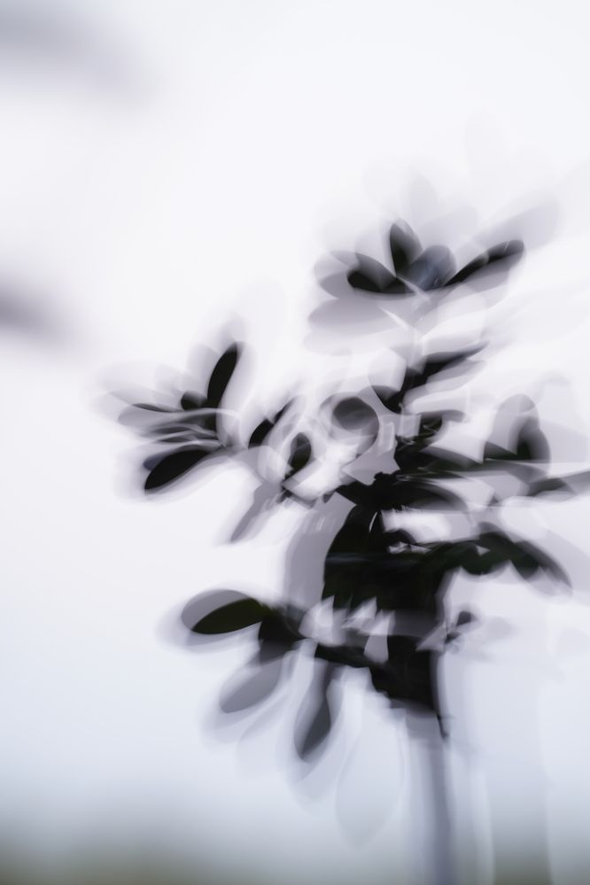 Photograph by Юлия Иванова