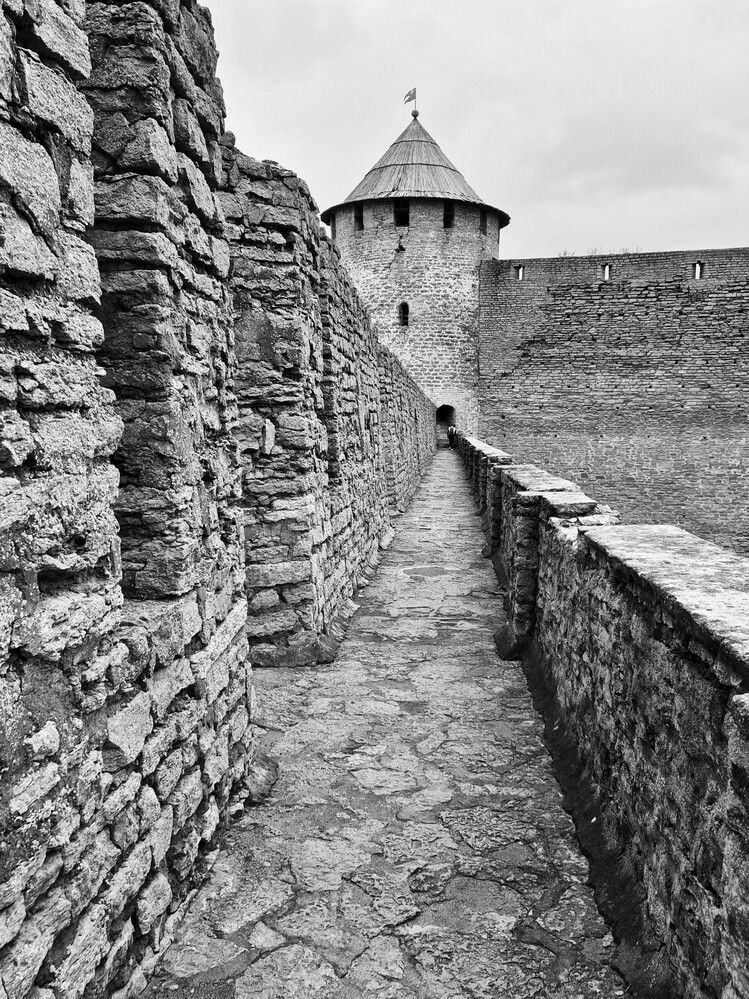 Photograph by Яна Галимуллина