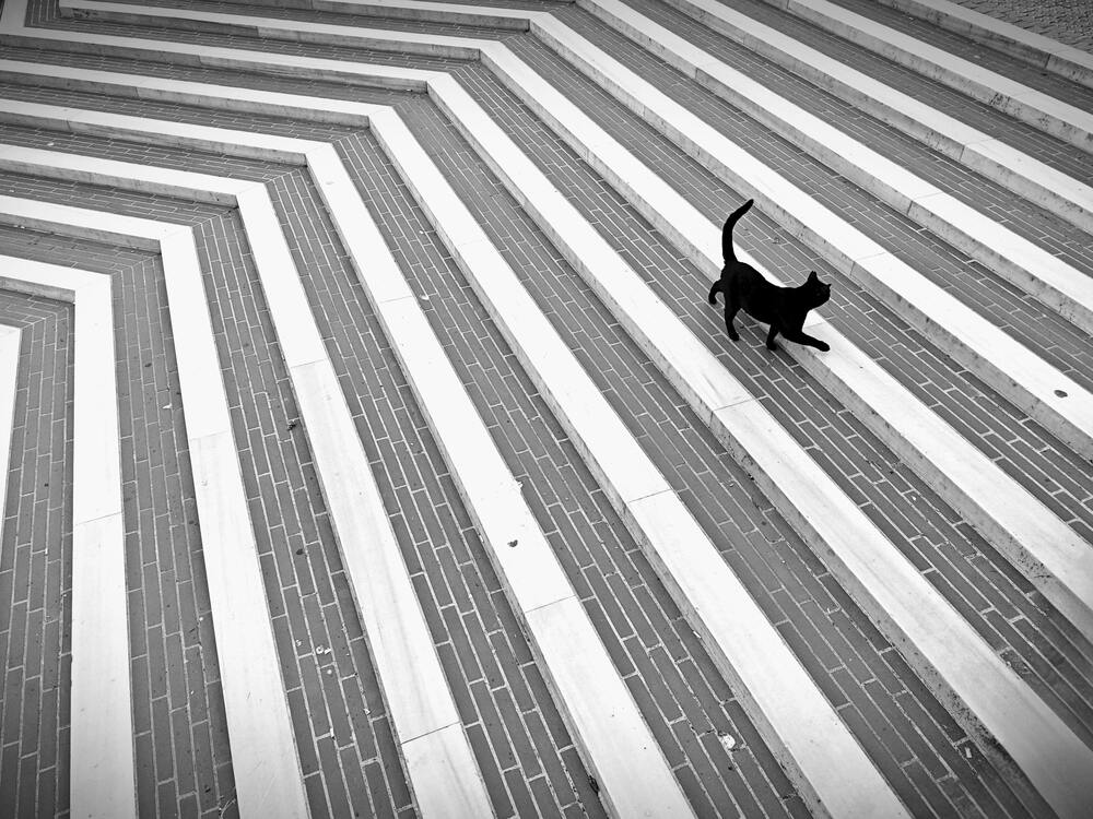 Photograph by Emir Bozkurt