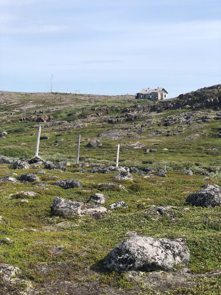 Photograph by Светлана