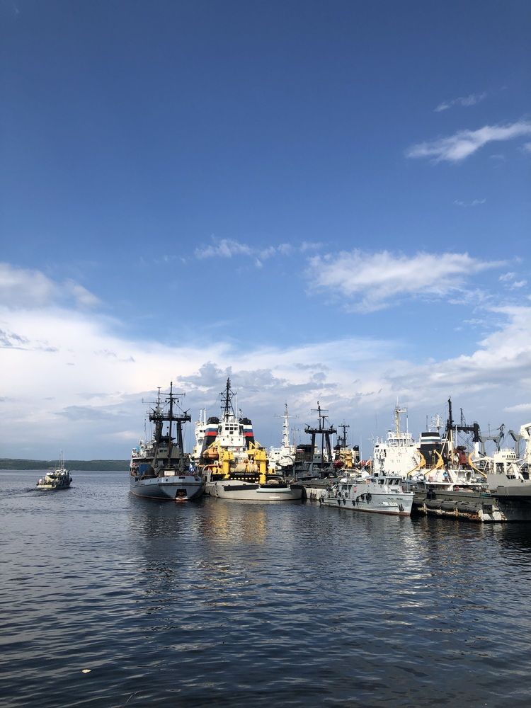 Photograph by Светлана