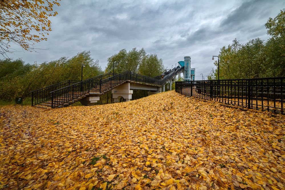 Photograph by Владимир Карпов