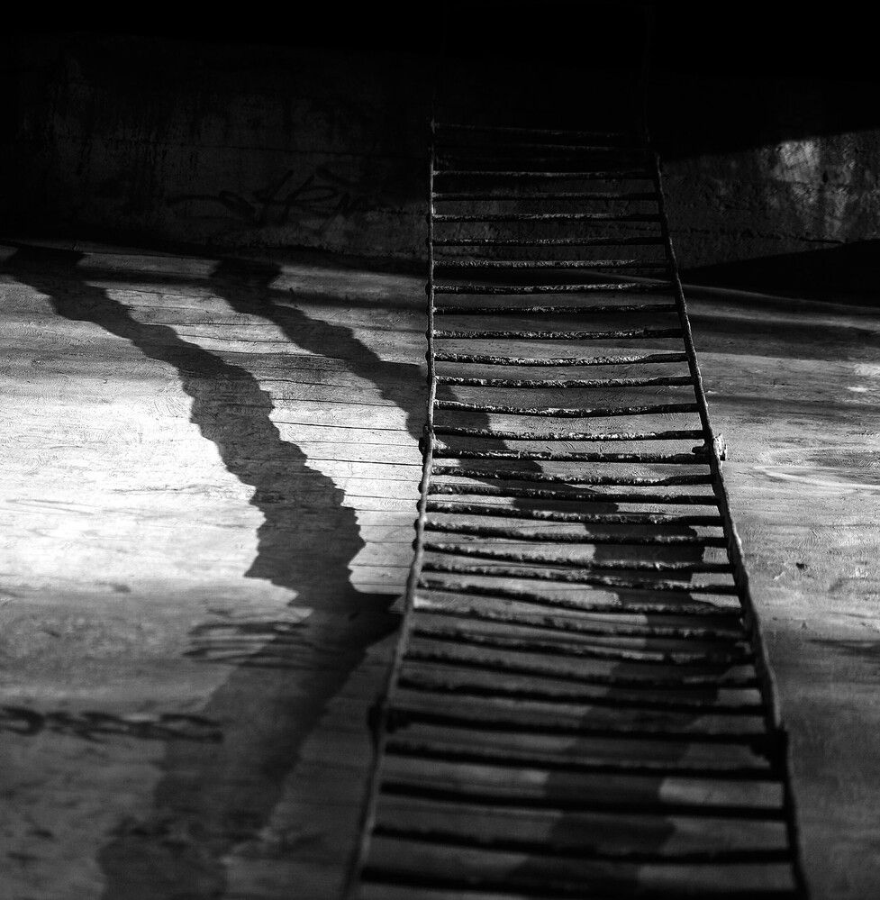 Photograph by Дмитрий Ткаченко