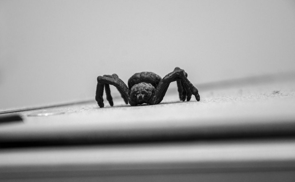 Photograph by Константин