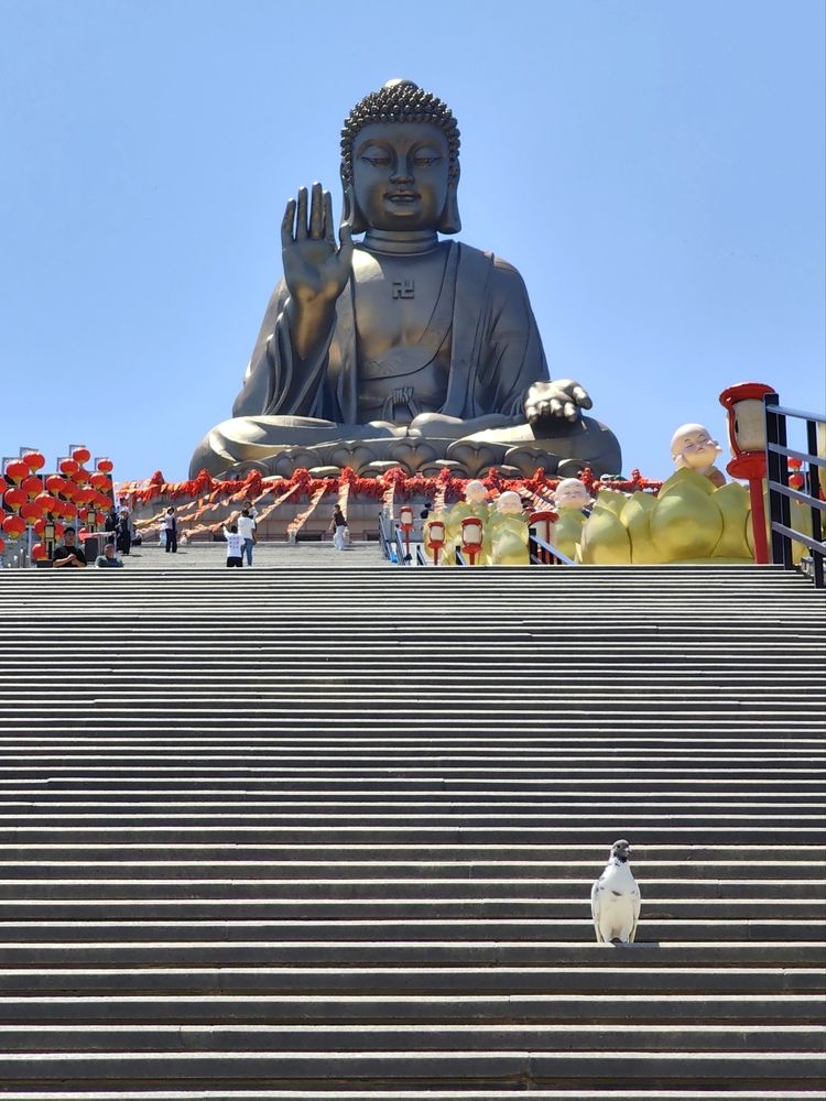 Photograph by Игорь Крыжко