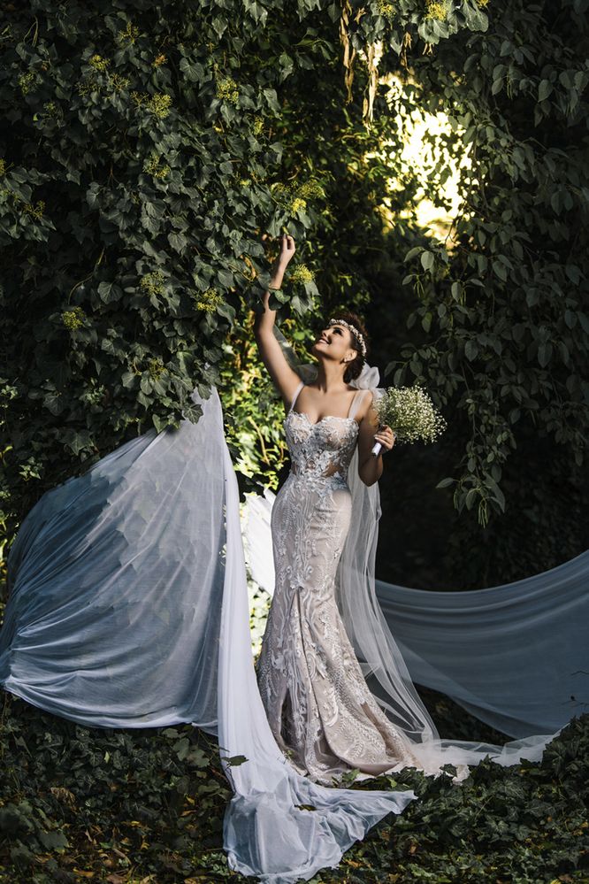 Фотография автора Jalal Ibrahim