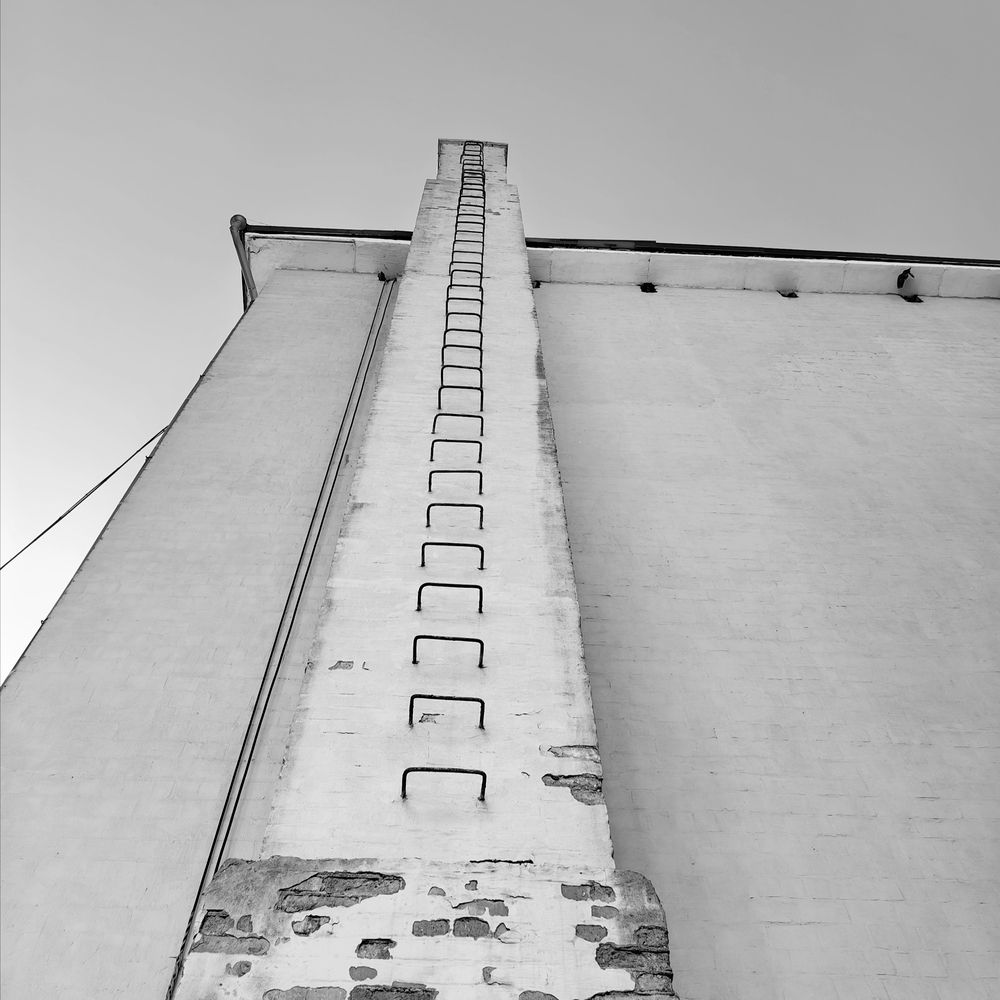 Photograph by Игорь Крыжко