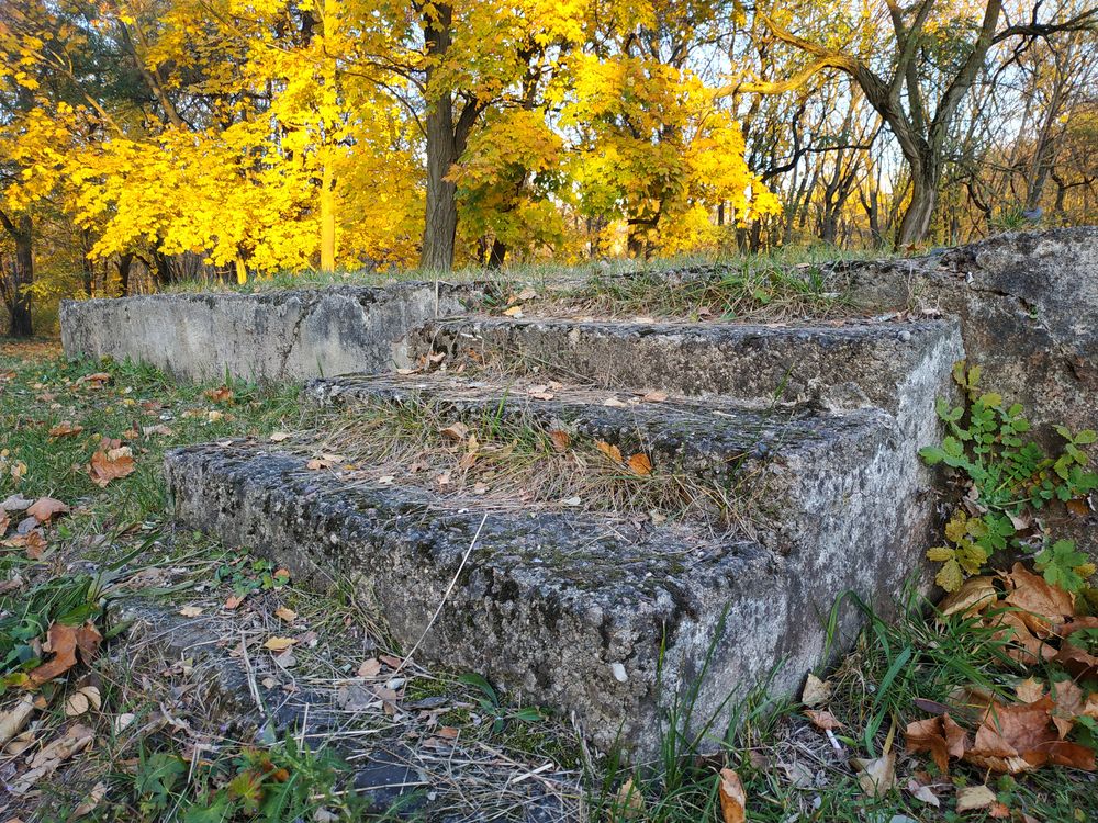 На сцену / To the stage