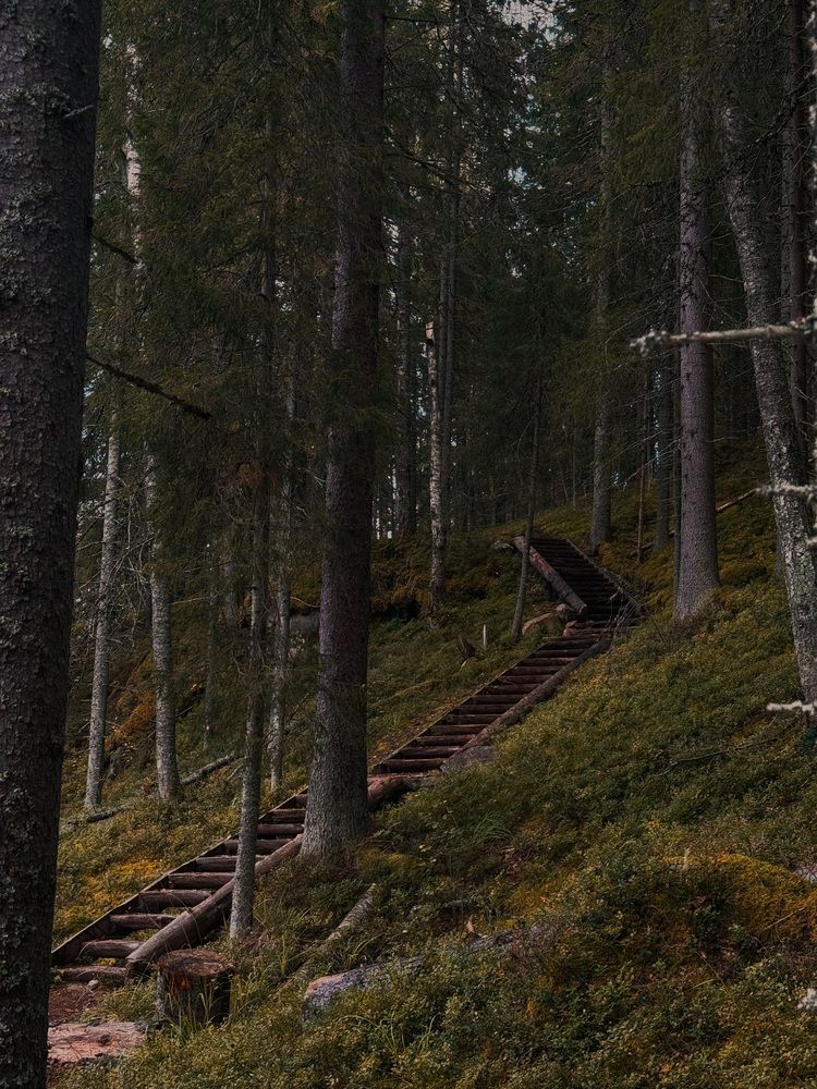 Photograph by Katerina Nikolaeva