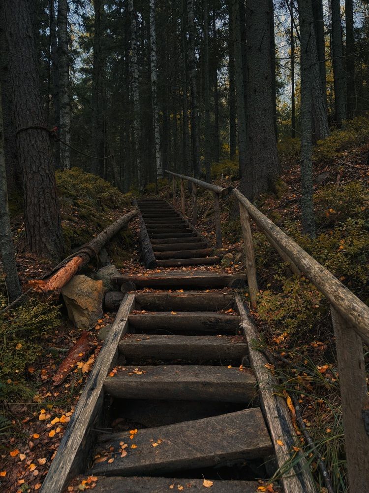 Photograph by Katerina Nikolaeva