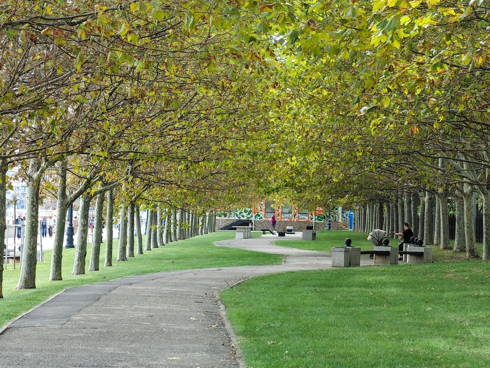 Photograph by Игорь Крыжко