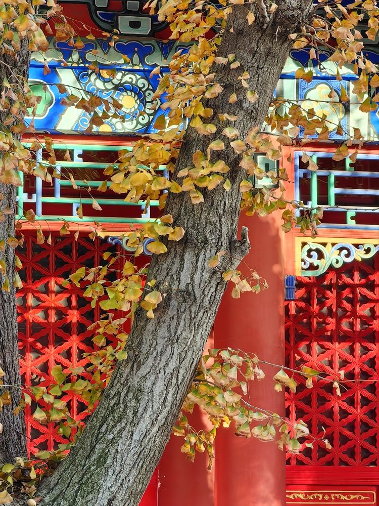 Photograph by Игорь Крыжко