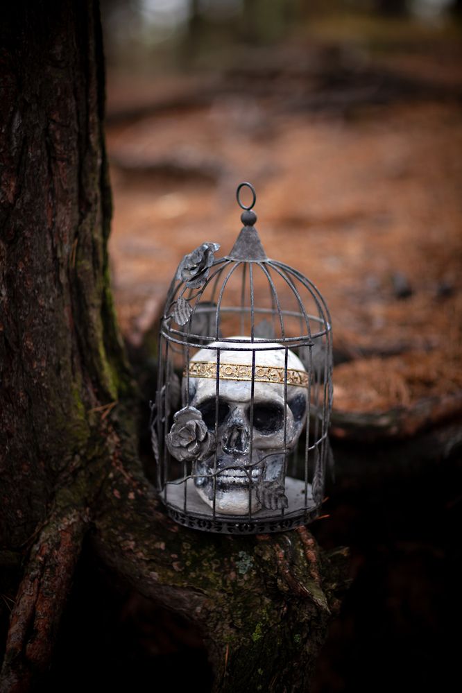 Фотография автора Анна Тихомирова