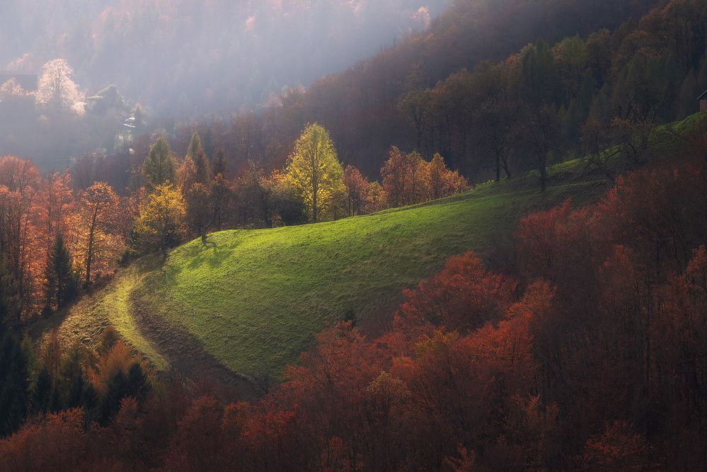 Photograph by Karádi Zita