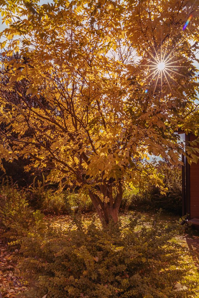 Photograph by Юлия Шурандина