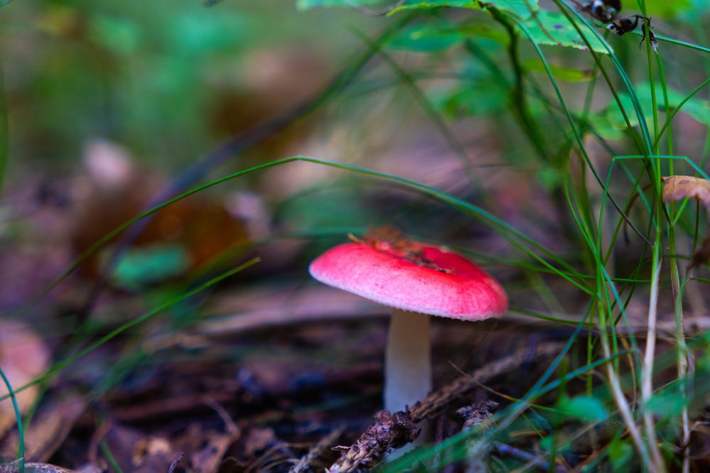 Photograph by Анна Жданова