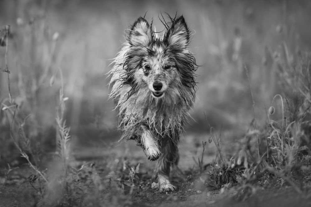 Photograph by Яна Нарбутович